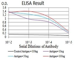 CBX5 Mouse anti-Human, Mouse, Clone:1B10B2, Abnova 100&mu;g:Antibodies,