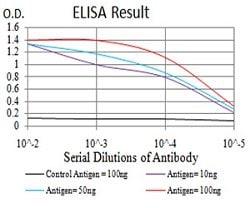 ATG14 Mouse anti-Human, Clone:1F7C10, Abnova 100&mu;g:Antibodies, Monoclonal