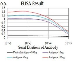 IL28A Mouse anti-Human, Clone:6H9E6, Abnova 100&mu;g:Antibodies, Monoclonal