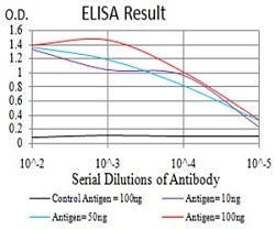 DDX3X Mouse anti-Human, Monkey, Mouse, Rat, Clone:3B9E3, Abnova 100&mu;g:Antibodies,