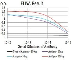KDM6A Mouse anti-Human, Rat, Clone:6E2D6, Abnova 100&mu;g:Antibodies, Monoclonal