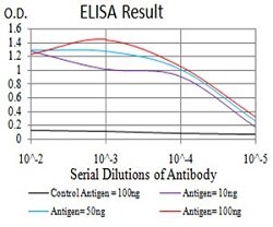 ETF1 Mouse anti-Human, Clone:4F9H12, Abnova 100&mu;g:Antibodies, Monoclonal