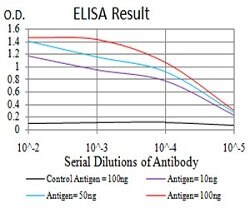 CFHR5 Mouse anti-Human, Mouse, Clone:3A10A5, Abnova 100&mu;g:Antibodies,