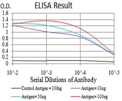 XRN2 Mouse anti-Human, Clone:9F7G11, Abnova 100&mu;g:Antibodies, Monoclonal