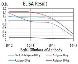DHX58 Mouse anti-Human, Clone:3E11F1, Abnova 100&mu;g:Antibodies, Monoclonal