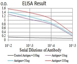 DAPP1 Mouse anti-Human, Clone:2F7A9, Abnova 100&mu;g:Antibodies, Monoclonal