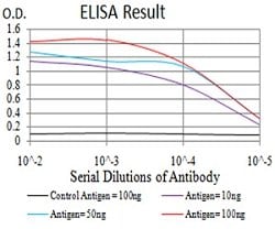 PSMC3 Mouse anti-Human, Monkey, Rat, Clone:1G10C9, Abnova 100&mu;g:Antibodies,