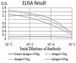 ZFP91 Mouse anti-Human, Clone:8C3D5, Abnova 100&mu;g:Antibodies, Monoclonal