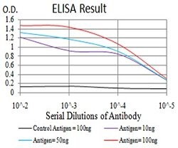 VP2 Mouse anti-Human, Clone:4E5A4, Abnova 100&mu;g:Antibodies, Monoclonal