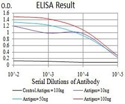 ESR1 Mouse anti-Human, Rat, Clone:6A6E8, Abnova 100&mu;g:Antibodies, Monoclonal