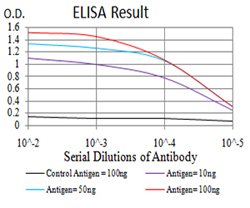 NTRK2 Mouse anti-Human, Clone:10B6C4, Abnova 100&mu;g:Antibodies, Monoclonal
