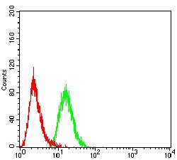 RAB5A Mouse anti-Human, Clone:2E8B11, Abnova 100&mu;g:Antibodies, Monoclonal