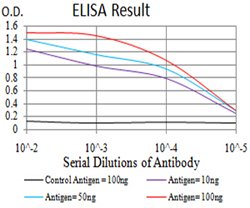 PTPN14 Mouse anti-Human, Clone:2B3H7, Abnova 100&mu;g:Antibodies, Monoclonal