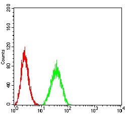 PTPN14 Mouse anti-Human, Clone:2B3H7, Abnova 100&mu;g:Antibodies, Monoclonal