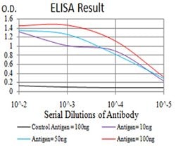 BIN1 Mouse anti-Human, Mouse, Clone:3B6F10, Abnova 100&mu;g:Antibodies,