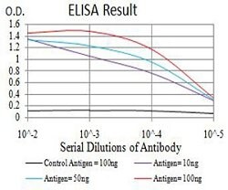 AEBP2 Mouse anti-Human, Clone:3E3C10, Abnova 100&mu;g:Antibodies, Monoclonal