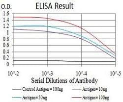 CIRBP Mouse anti-Human, Clone:6E12D5, Abnova 100 &mu;g | Buy Online | Abnova | Fisher Scientific