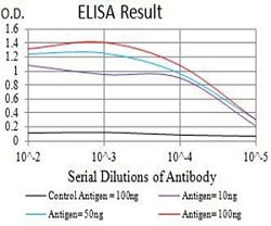 GRM3 Mouse anti-Human, Clone:6H10C3, Abnova 100&mu;g:Antibodies, Monoclonal