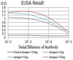 CHRNA2 Mouse anti-Human, Rat, Clone:7G12H9, Abnova 100&mu;g:Antibodies,