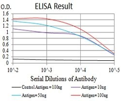 HTR3A Mouse anti-Human, Clone:3B11C10, Abnova 100&mu;g:Antibodies, Monoclonal