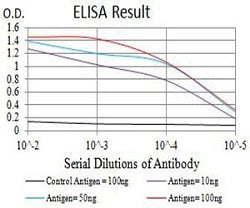 P2RY8 Mouse anti-Human, Clone:1G5A11, Abnova 100&mu;g:Antibodies, Monoclonal