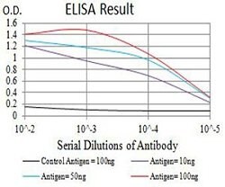 P2RY8 Mouse anti-Human, Clone:1G5A2, Abnova 100&mu;g:Antibodies, Monoclonal