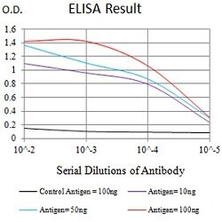 CXCR3 Mouse anti-Human, Clone:5C10B3, Abnova 100&mu;g:Antibodies, Monoclonal