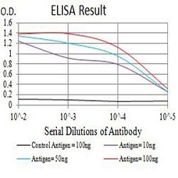 GRM8 Mouse anti-Human, Clone:4C1C1, Abnova 100&mu;g:Antibodies, Monoclonal
