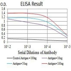 CD3D Mouse anti-Human, Clone:1F6A8, Abnova 100&mu;g:Antibodies, Monoclonal