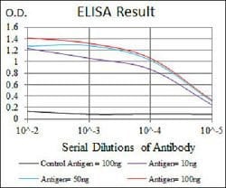 HSP90AA1 Mouse anti-Human, Clone:5G5, Abnova 100&mu;g:Antibodies, Monoclonal