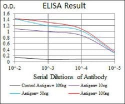 MYF6 Mouse anti-Human, Clone:5D7, Abnova 100&mu;g:Antibodies, Monoclonal