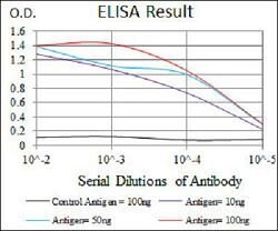 SPI1 Mouse anti-Human, Clone:5C7, Abnova 100 &mu;g | Buy Online | Abnova Corporation | Fisher Scientific