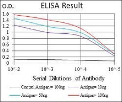 ABCC4 Mouse anti-Human, Clone:2D2A9, Abnova 100&mu;g:Antibodies, Monoclonal