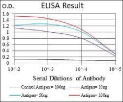 SLC27A2 Mouse anti-Human, Clone:6B3A9, Abnova 100&mu;g:Antibodies, Monoclonal