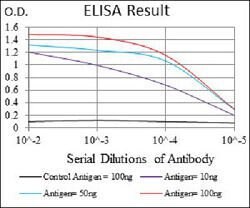 ABCC4 Mouse anti-Human, Clone:6A7H3, Abnova 100&mu;g:Antibodies, Monoclonal