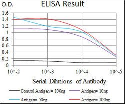 FCER1A Mouse anti-Human, Clone:1F2A9, Abnova 100&mu;g:Antibodies, Monoclonal