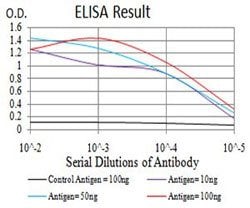 AOF2 Mouse anti-Human, Clone:3F9D2, Abnova 100&mu;g:Antibodies, Monoclonal