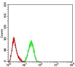 AOF2 Mouse anti-Human, Clone:3F9D2, Abnova 100&mu;g:Antibodies, Monoclonal
