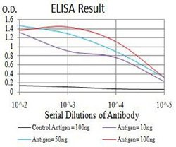AURKA Mouse anti-Human, Clone:2D8A4, Abnova 100&mu;g:Antibodies, Monoclonal