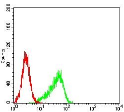 AURKA Mouse anti-Human, Clone:2D8A4, Abnova 100&mu;g:Antibodies, Monoclonal