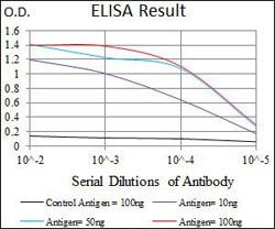 SLC27A5 Mouse anti-Human, Clone:4B11C10, Abnova 100&mu;g:Antibodies, Monoclonal