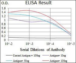 SLC27A5 Mouse anti-Human, Clone:9C4D1, Abnova 100&mu;g:Antibodies, Monoclonal