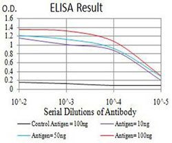 CBX7 Mouse anti-Human, Clone:3H9C4, Abnova 100&mu;g:Antibodies, Monoclonal