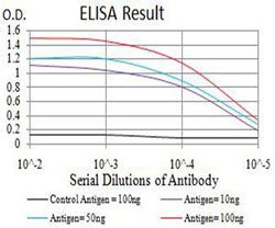 CIRBP Mouse anti-Human, Clone:6E12D5, Abnova 100&mu;g:Antibodies, Monoclonal