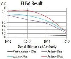 BCR Mouse anti-Human, Clone:6B5E12, Abnova 100&mu;g:Antibodies, Monoclonal
