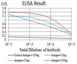 P2RY1 Mouse anti-Human, Clone:4G5D6, Abnova 100&mu;g:Antibodies, Monoclonal