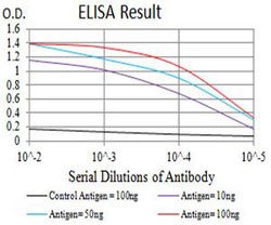 CCR3 Mouse anti-Human, Clone:8E9H10, Abnova 100&mu;g:Antibodies, Monoclonal