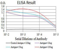 GRM2 Mouse anti-Human, Clone:4A10B9, Abnova 100&mu;g:Antibodies, Monoclonal