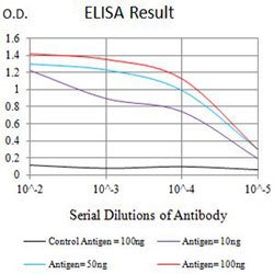 TNFRSF4 Mouse anti-Human, Clone:8H6H7, Abnova 100&mu;g:Antibodies, Monoclonal