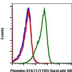 STAT3 Rabbit anti-Human, Mouse, SureLight 488, Clone: B12, Abnova 100 Reactions;